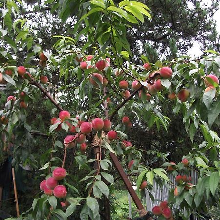 Ferienwohnung Krottensee Gmunden Ngoại thất bức ảnh